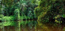 Timbo, Liberia